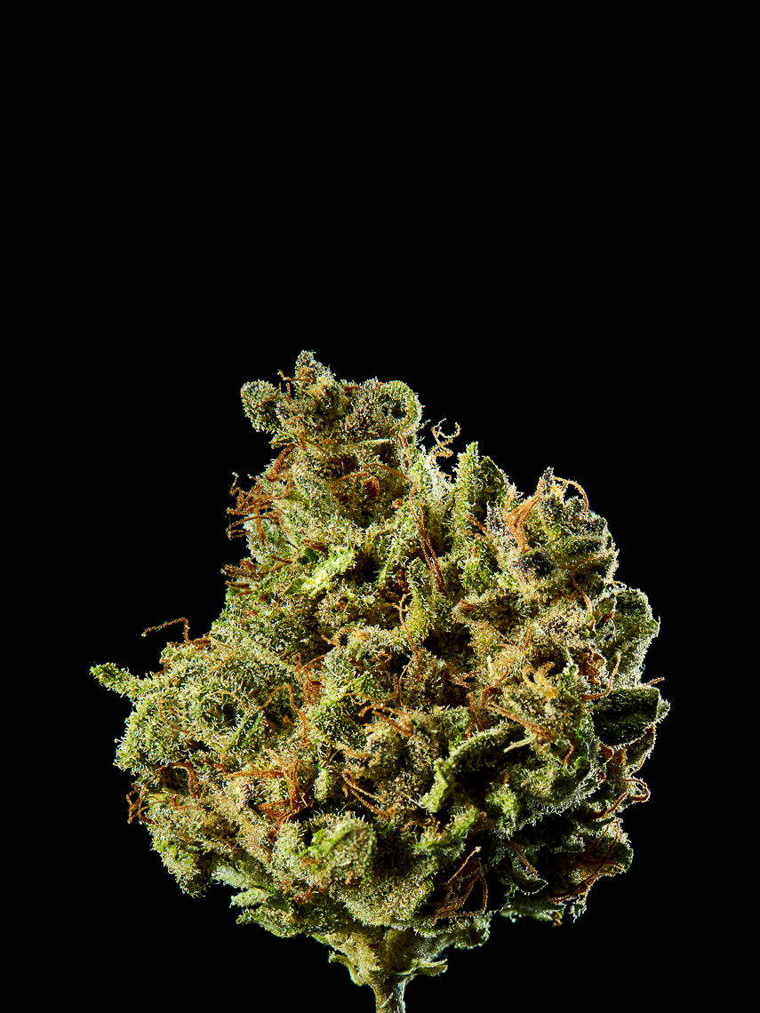 Cannabis Bud Detail Strain Sky Bay Train