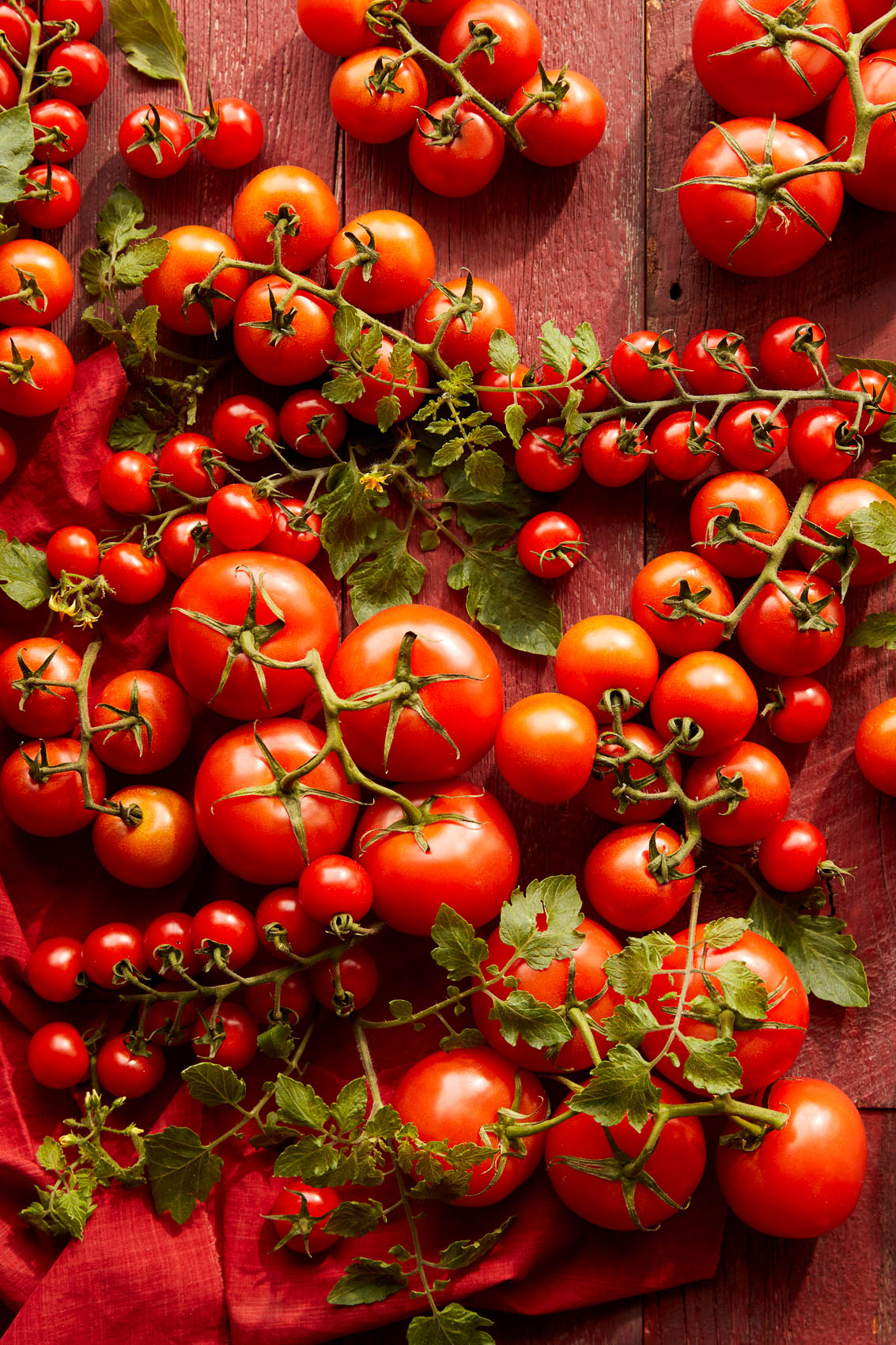 EatingVegetarian_Tomatoes_8171